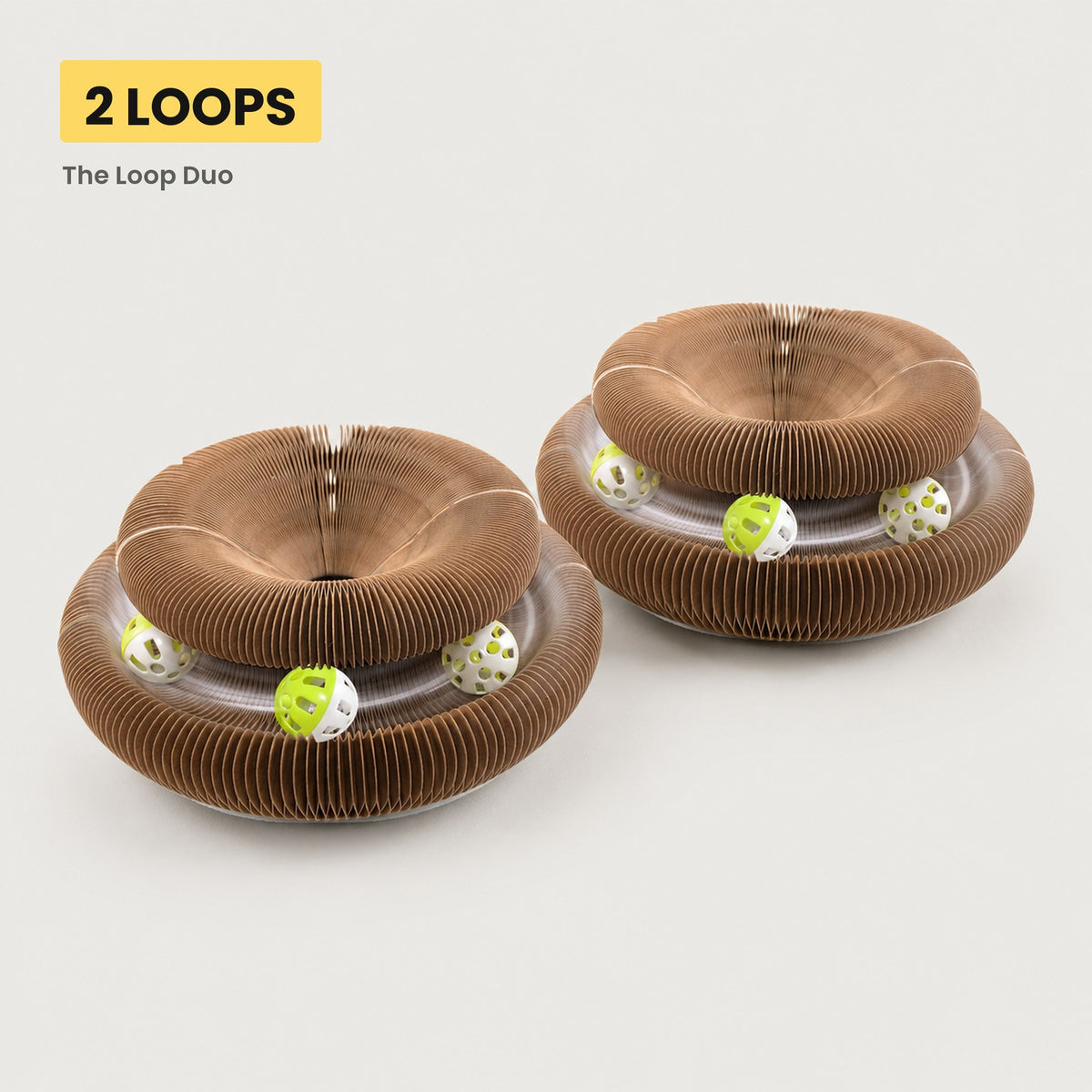 The Loop Duo — two Pounce Loops on the studio set
