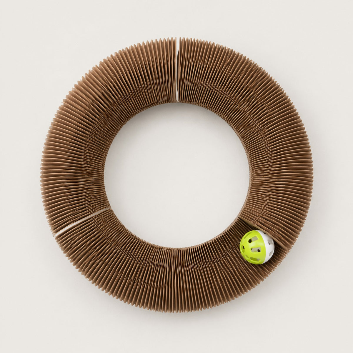 The Pounce Loop closed into a full ring, seen from above with the bell ball in the track
