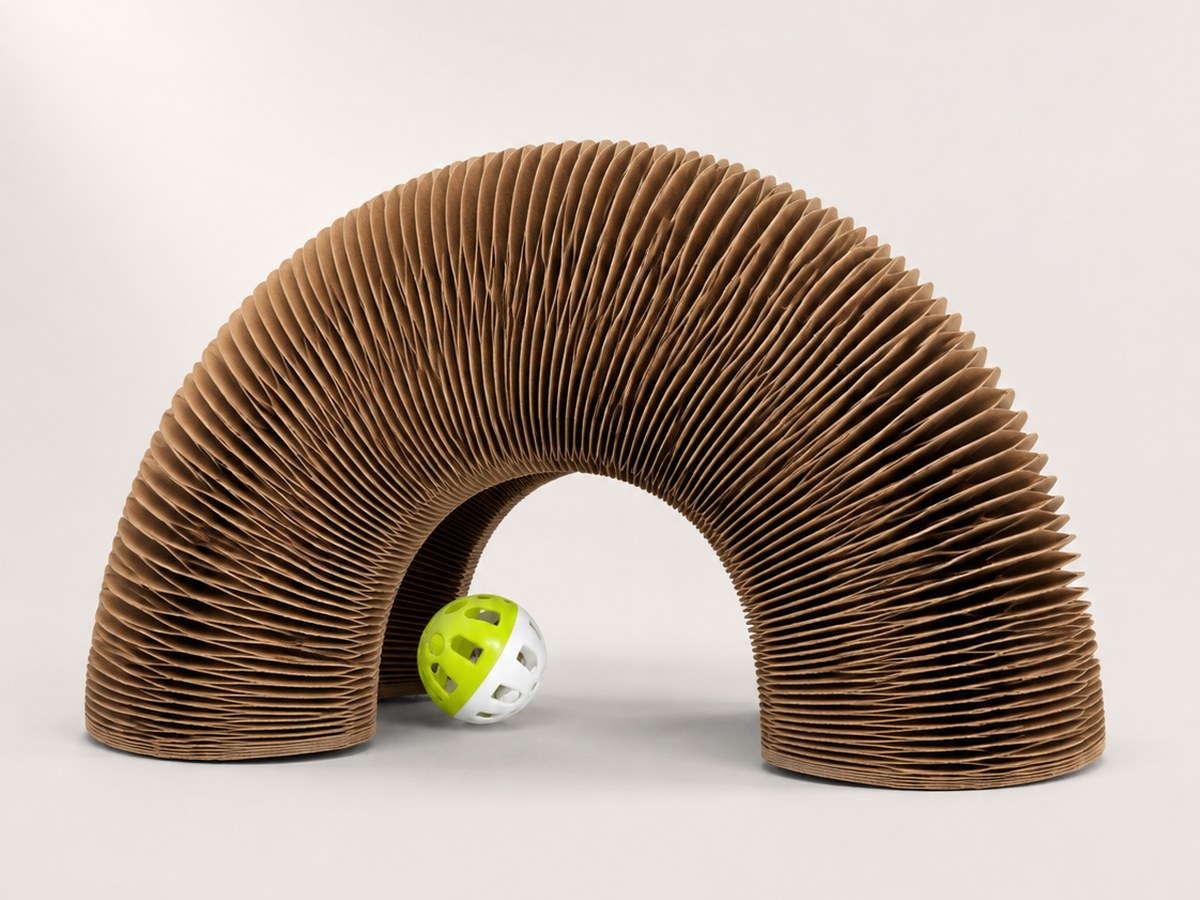 The Pounce Loop arched into a dome shape