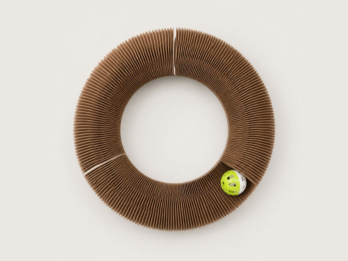The Pounce Loop folded into a full ring with the bell ball in its track